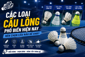 ảnh bìa bài viết cầu lông vũ
