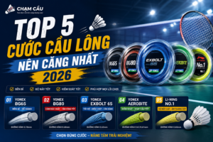 Ảnh bìa top 2 cước ccaauf lông nên căng 2026