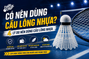 ảnh bìa cầu lông nhựa