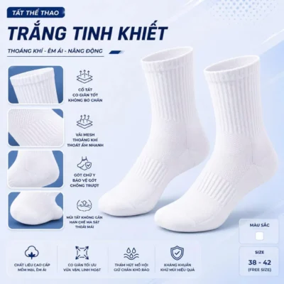 ảnh bìa tất